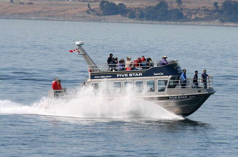 Victoria BC: 3 Hour Expedition Catamaran Whale Watching Tour - Key Points
