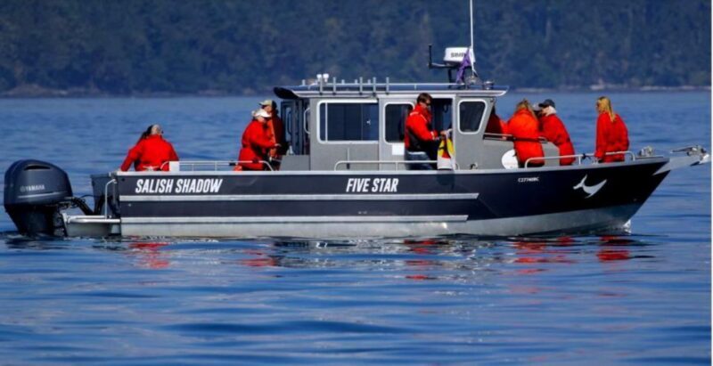 Victoria, BC: 3-Hour Ultimate Whale & Marine Wildlife Tour - Who Should Consider This Tour?