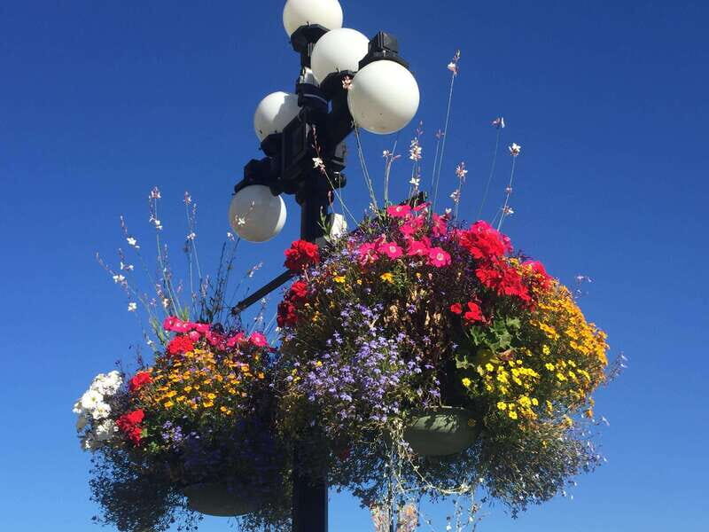 Victoria, BC: City Tour and Butchart Gardens Combo Tour - FAQ