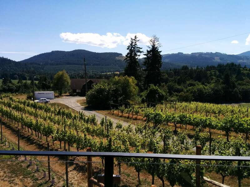 Victoria, BC: Food & Wine Tour to the Cowichan Valley - Who Will Love This Tour?