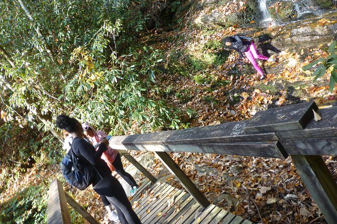 Victoria Bryant State Park Hike with Wine Tasting - Discover the Beauty of Victoria Bryant State Park with a Guided Hike and Wine Tasting