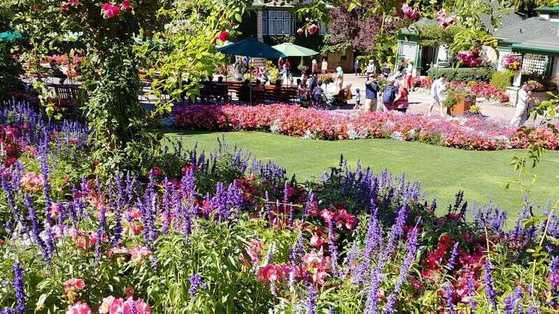 Victoria & Butchard Gardens Private Tour from Vancouver - Frequently Asked Questions (FAQs)