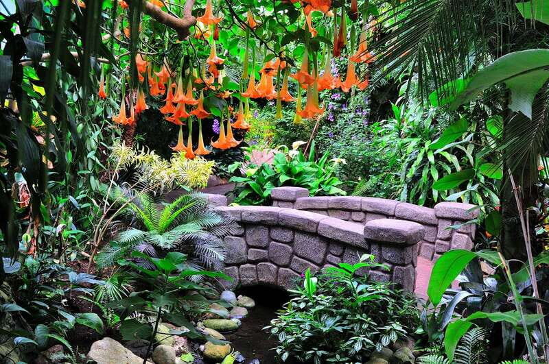 Victoria: Butterfly Gardens Admission Ticket - Final Thoughts: Is It Worth It?
