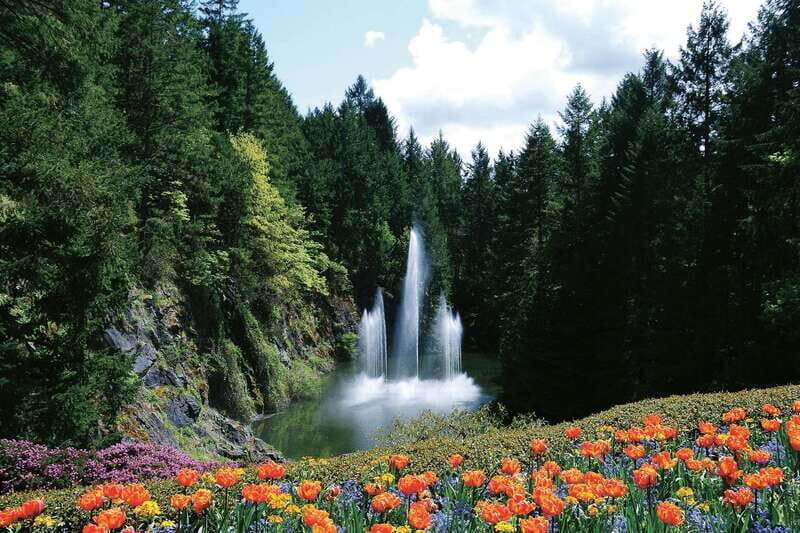Victoria: City Highlights and Butchart Gardens Tour - Unpacking the Tour: What You Can Expect