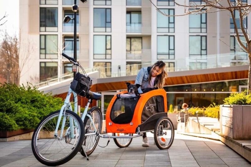 Victoria City Highlights Pedal Bike Tour - Hoods & Legends - Final Thoughts