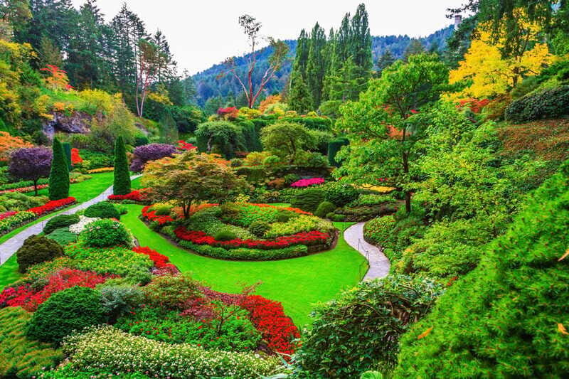 Victoria: Driving Tour w/ Malahat Skywalk & Butchart Gardens - FAQ