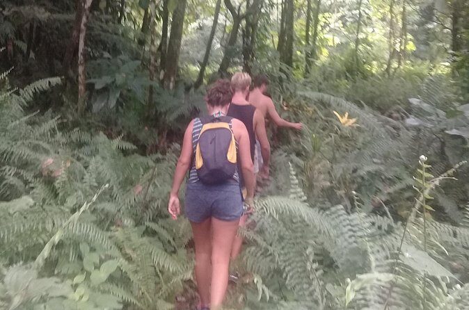 Victoria Fall Tour - FAQs