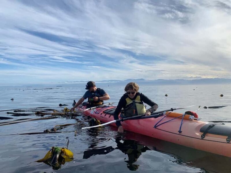 Victoria: Guided Kayak Tour Adventure - Key Points