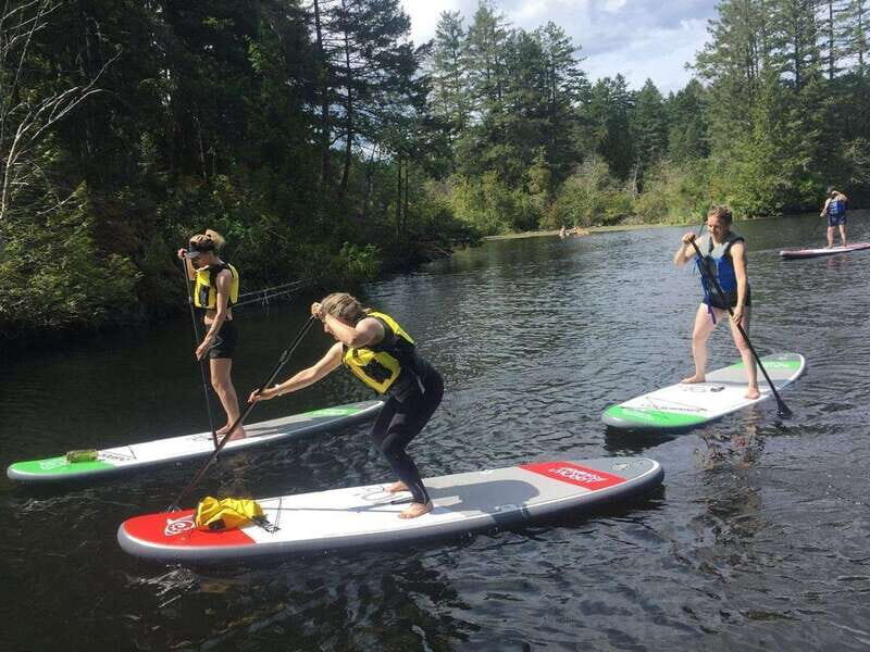 Victoria: Intro to Stand Up Paddle Boarding at Thetis Lake - Why This Tour Holds Value