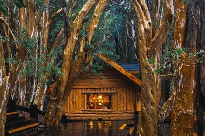 Victoria Island and Arrayanes Forest - Final Thoughts