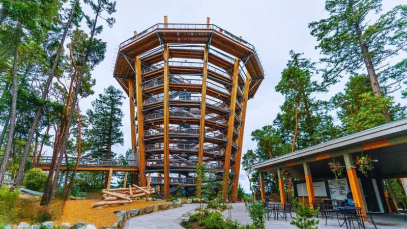 Victoria: Malahat Skywalk & Iconic Landmark Tour - Exploring the Malahat Skywalk: A View Like No Other