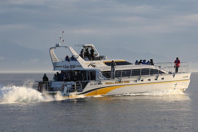 Victoria Marine Wildlife Tour - Why This Tour Stands Out