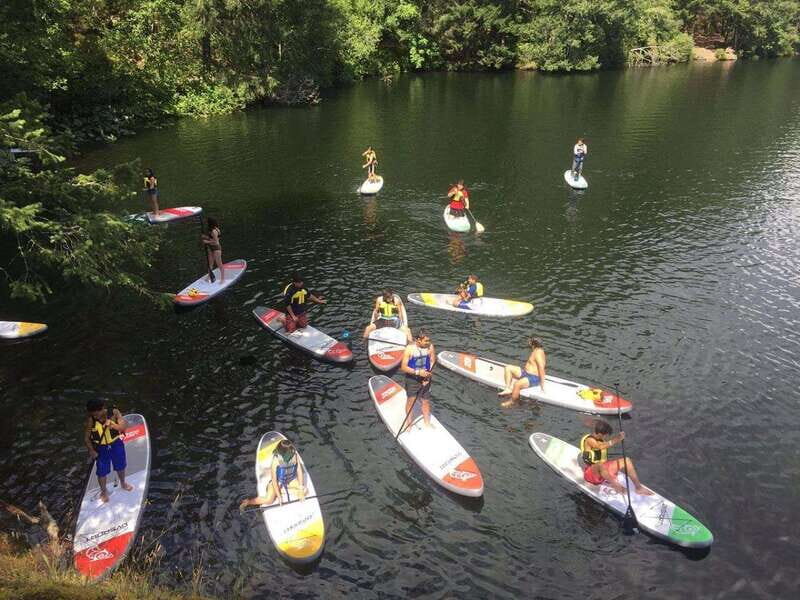 Victoria: Paddle Board Rental with Full Equipment - Exploring Victoria’s Waterways: A Practical Guide to Your Paddle Board Adventure