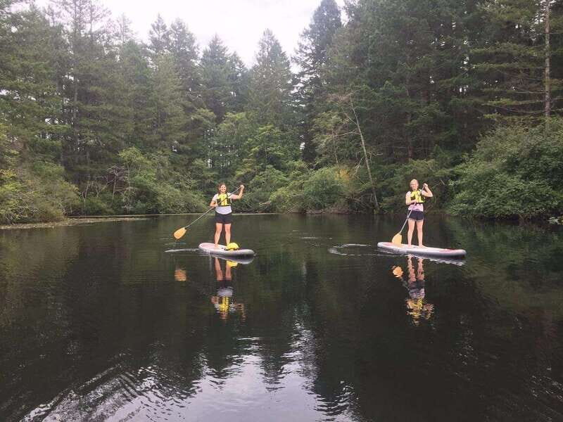 Victoria: Paddle Board Rental with Full Equipment - Value and Practicality