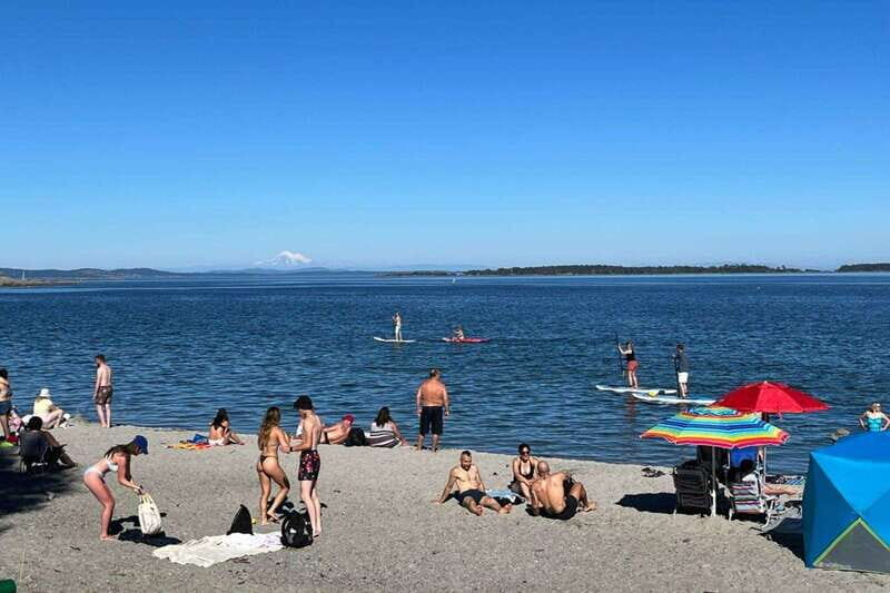 Victoria: Paddle Board Tour at Willows Beach - Key Points