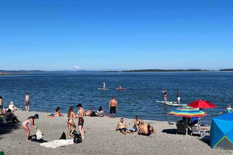Victoria: Paddle Board Tour at Willows Beach - Who Should Book This Tour?