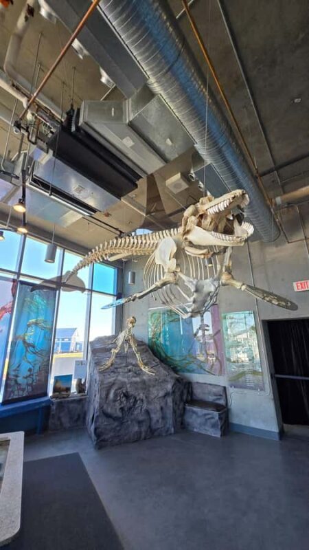 Victoria; Peninsula Butchart Garden, Aquarium and Rainforest - Who Should Book This Tour?