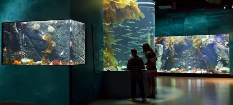 Victoria; Peninsula Butchart Garden, Aquarium and Rainforest - Final Thoughts