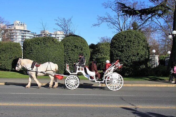 Victoria Pre and Post Cruise City Sightseeing Tour Private - Final Thoughts