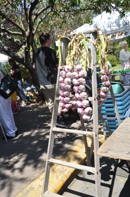 Victoria: Private Captain's Tour Southern Gulf Islands - Key Points