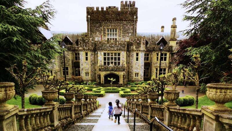 Victoria: Skywalk & Hatley Castle Private Tour - Authentic Feedback from Travelers