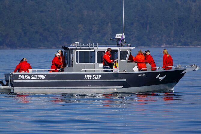 Victoria Ultimate Marine Whale & Wildlife Tour - Final Thoughts