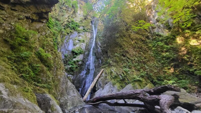 Victoria Waterfall, Skywalk, Beach Picnic, Castle and Whales - Frequently Asked Questions