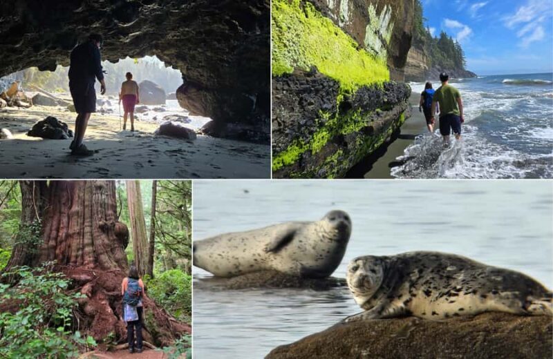 Victoria West Coast Wildlife, Old Growth and Waterfalls - The Ride and Logistics: What to Know