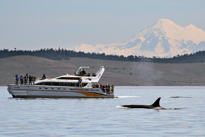 Victoria Whale and Wildlife Cruise - Victoria Whale and Wildlife Cruise: An authentic West Coast adventure