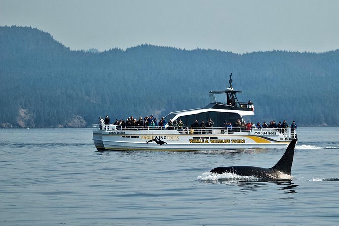 Victoria Whale and Wildlife Cruise - Key Points