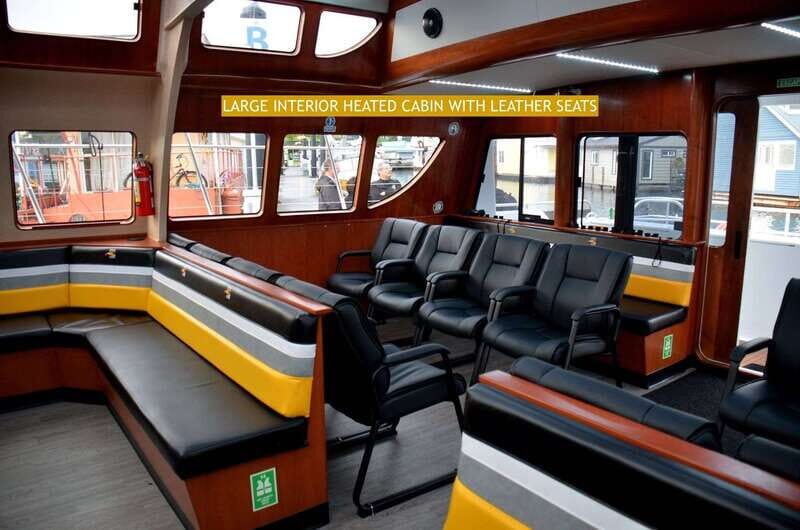 Victoria: Whale and Wildlife Semi-Covered Boating Tour - A Detailed Look at the Victoria Whale and Wildlife Tour