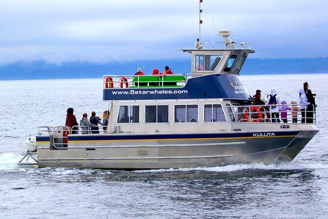 Victoria Whale Watching Cruise with Expert Naturalists - Victoria Whale Watching Cruise with Expert Naturalists: A Complete Guide