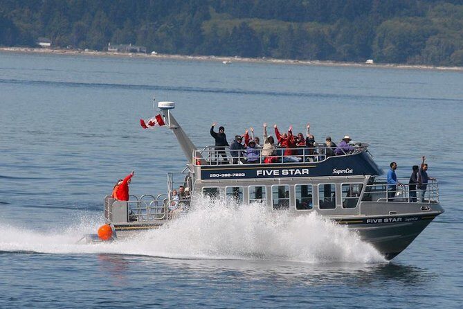 Victoria Whale Watching Cruise with Expert Naturalists - Who Will Love This Tour?