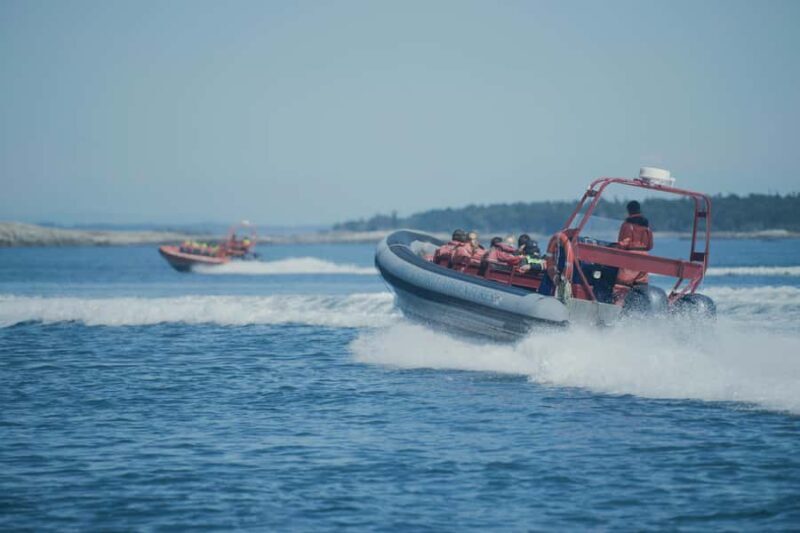 Victoria: Whale Watching Marine Wildlife Excursion Zodiac - Final Thoughts