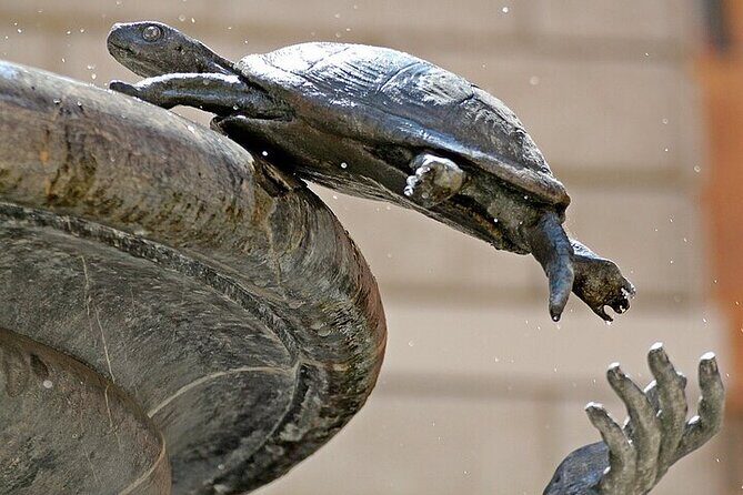 Vicus Caprarius and the Fountains of Rome - FAQs