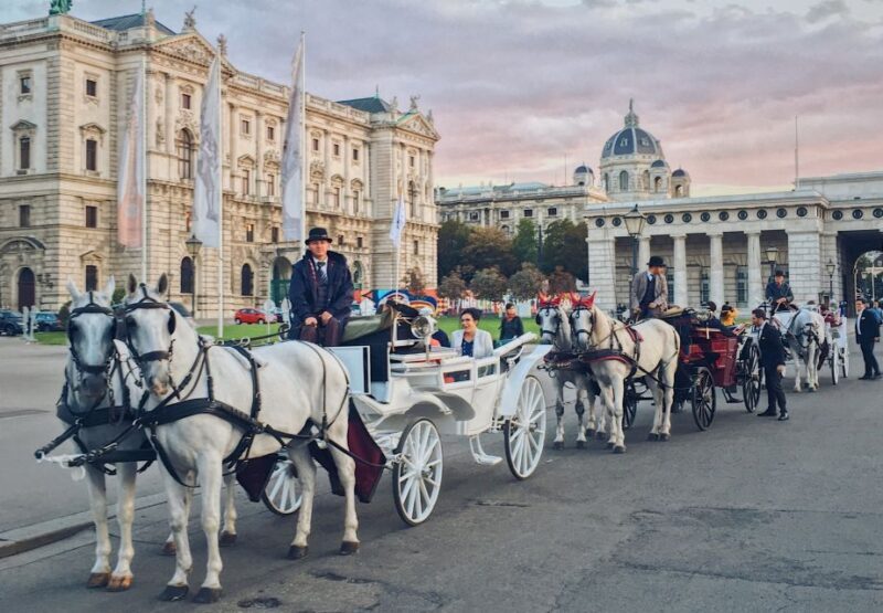 Vienna: 30-Minute Fiaker Ride in the Old Town - A Detailed Look at the Fiaker Ride Experience