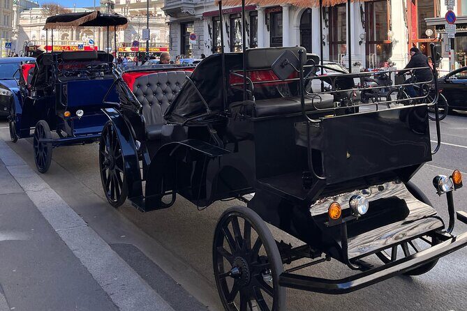 Vienna: 60 min. Royal E-Carriage Sightseeing Tour with Drinks - Exploring the Details of Vienna’s 60-Minute Royal E-Carriage Tour