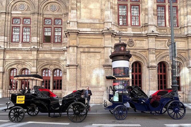 Vienna: 60 min. Royal E-Carriage Sightseeing Tour with Drinks - FAQ
