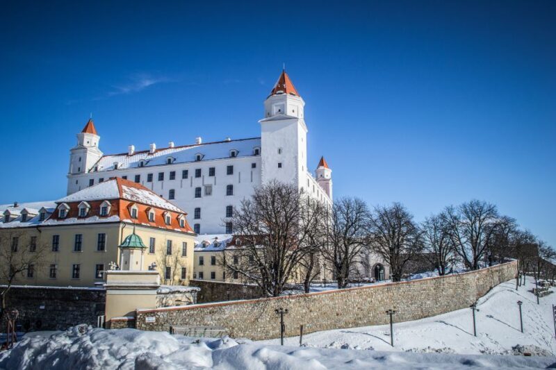 Vienna: Bratislava Day Trip with Private Guide and Transport - Who Will Appreciate This Tour Most?