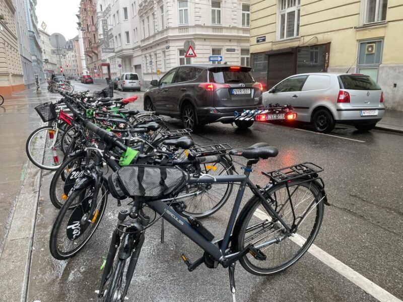 Vienna-Budapest Bike Rental with Bike Delivery - Through Szigetköz and the Danube Bend: Nature and History