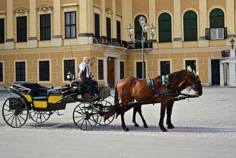 Vienna: Carriage Ride Through Schönbrunn Palace Gardens - Key Points