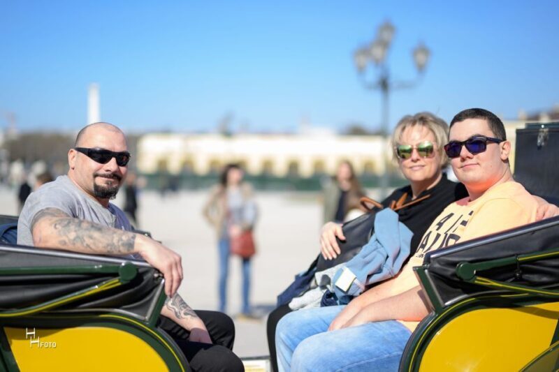 Vienna: Carriage Ride Through Schönbrunn Palace Gardens - A Detailed Look at the Schönbrunn Palace Carriage Ride