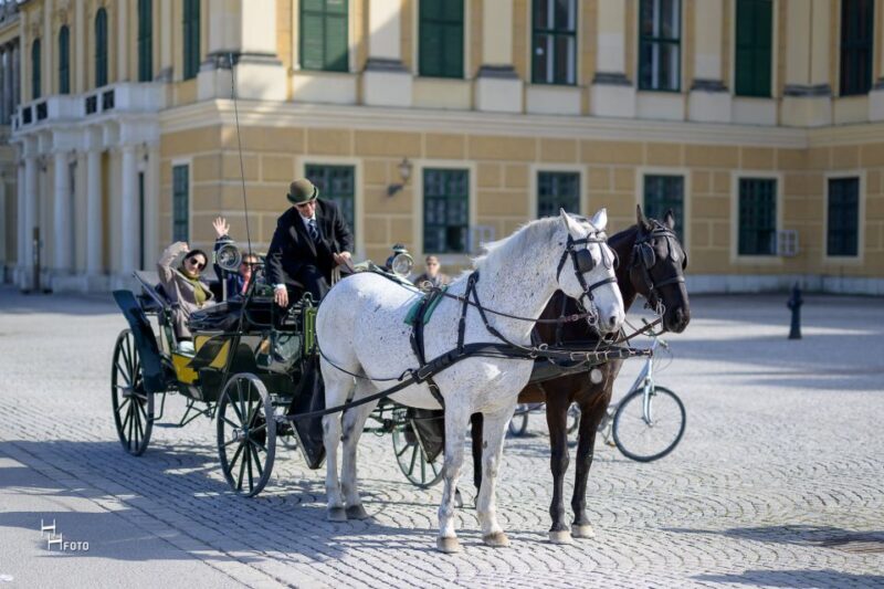 Vienna: Carriage Ride Through Schönbrunn Palace Gardens - Who Should Consider This Tour?