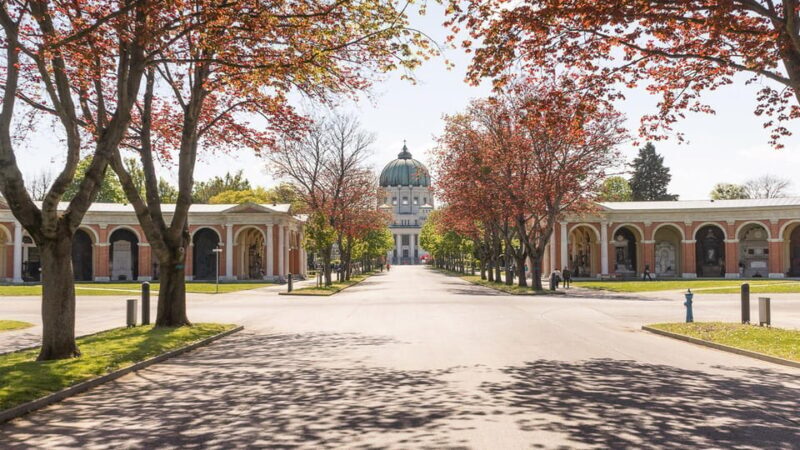 Vienna: Central Cemetery, guided walking tour with fascinating secrets - Key Points