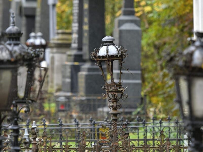 Vienna: Central Cemetery, guided walking tour with fascinating secrets - An in-depth look at the Vienna Central Cemetery tour