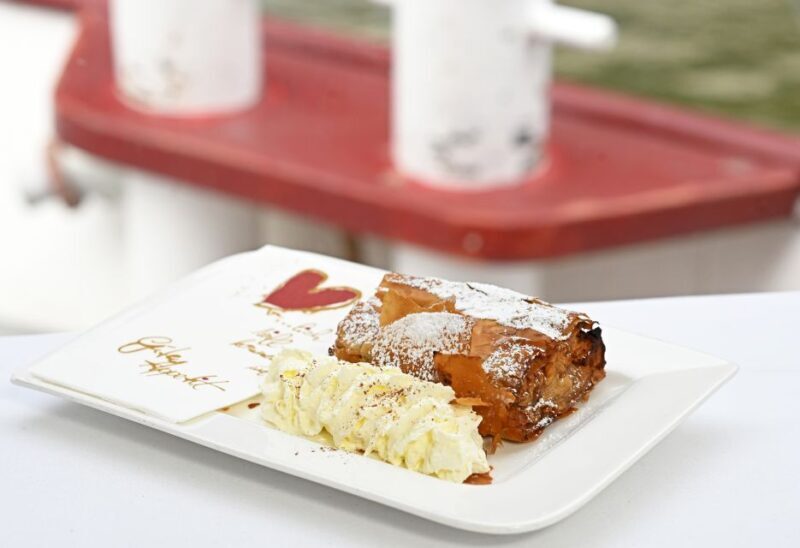 Vienna: Danube River Cruise w/ optional Viennese Specialties - Final Thoughts: Is This Experience Worth It?