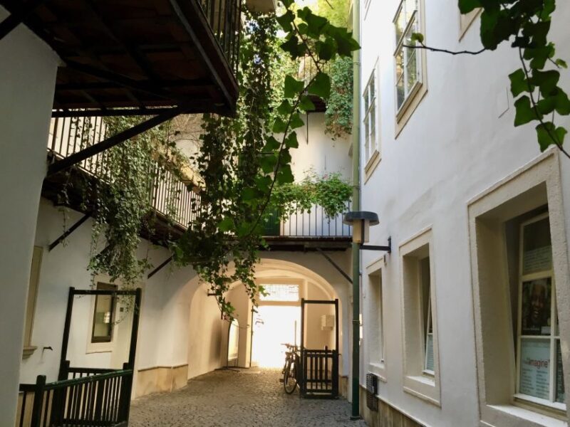 Vienna: Hidden Gems near St. Stephen's & Old University - Why This Tour Offers Great Value