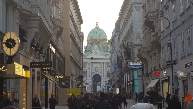 Vienna Historical Highlight City Tour + Hofburg - Practical Details and Value