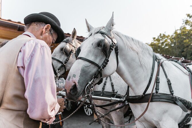 Vienna Horse-drawn Carriage Guided Tour - Final Thoughts