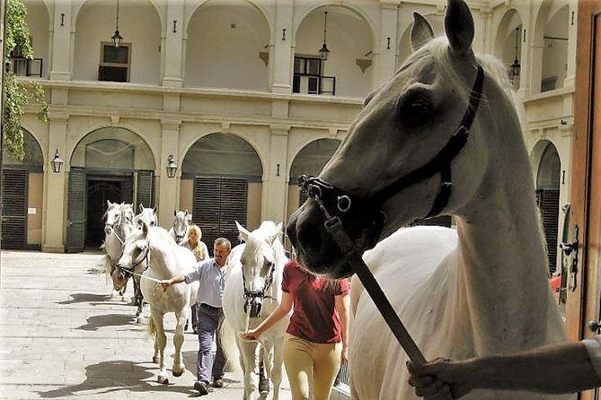 Vienna Inner City Highlights Private Walking Tour - Who Will Love This Tour?
